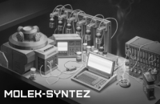 MOLEK-SYNTEZ IT (Italy)