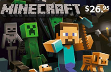 Minecraft BR (Brazil)